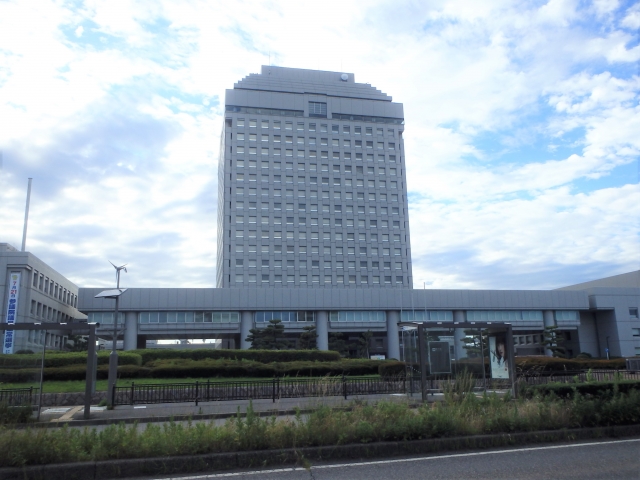 Niigata Government
