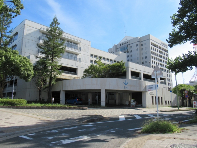 Toyohashi  City Hall